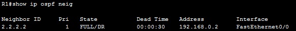 show ip ospf neighbor show ip ospf neighbor