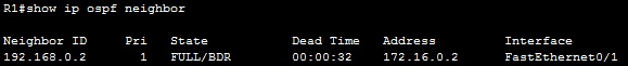 show ip ospf neighbor show ip ospf neighbor